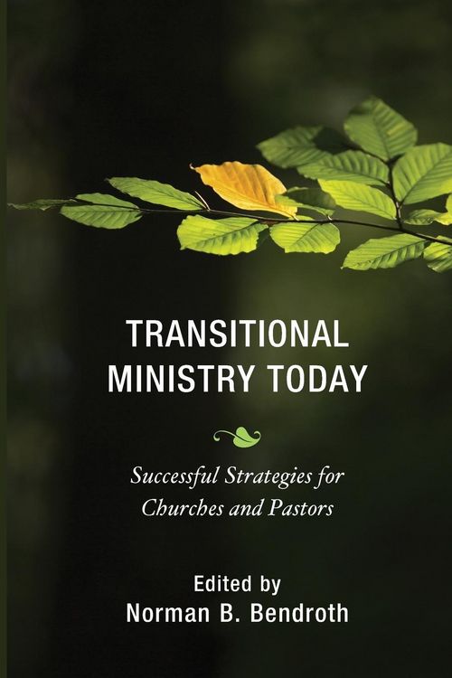 Produktbild: Transitional Ministry Today