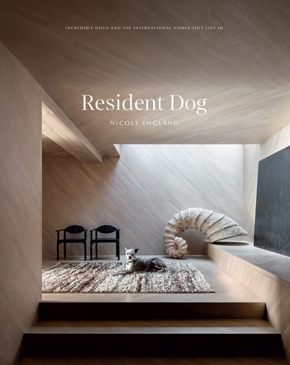 Produktbild: Resident Dog