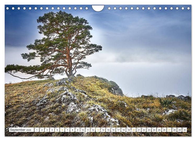 Produktbild: B&auml;ume im Altm&uuml;hltal (Wandkalender 2026 DIN A4 quer), CALVENDO Monatskalender