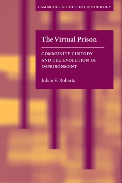 Produktbild: Virtual Prison
