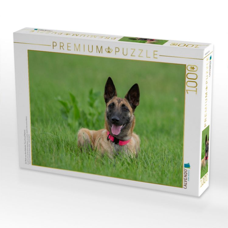 Produktbild: CALVENDO Puzzle Ein Motiv aus dem Kalender Traumhund Malinois | 1000 Teile Lege-Gr&ouml;&szlig;e 64x48cm Foto-Puzzle f&uuml;r gl&uuml;ckliche Stunden