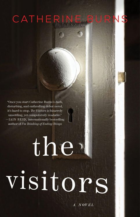 Produktbild: The Visitors