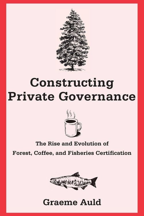 Produktbild: Constructing Private Governance