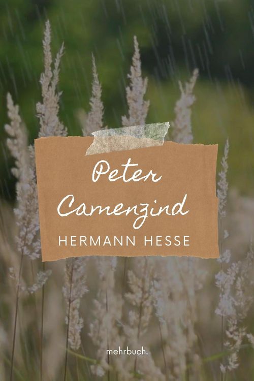 Produktbild: Peter Camenzind