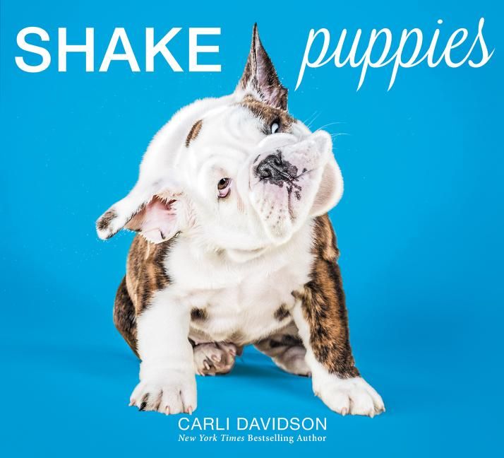 Produktbild: Davidson, C: Shake Puppies