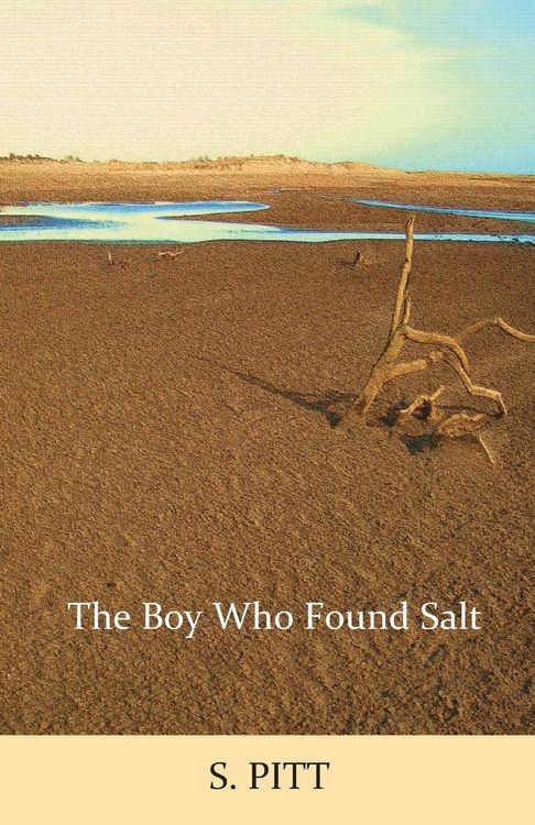 Produktbild: The Boy Who Found Salt