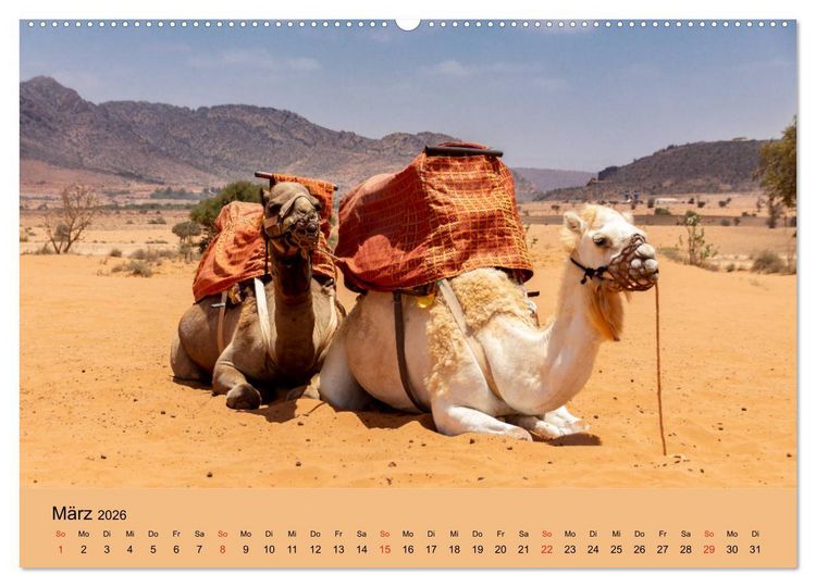 Produktbild: Abenteuer Marokko - eine Reise durch die Region Sous-Massa (Wandkalender 2026 DIN A2 quer), CALVENDO Monatskalender