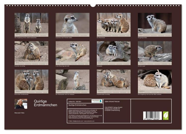 Produktbild: Quirlige Erdm&auml;nnchen (Wandkalender 2026 DIN A2 quer), CALVENDO Monatskalender