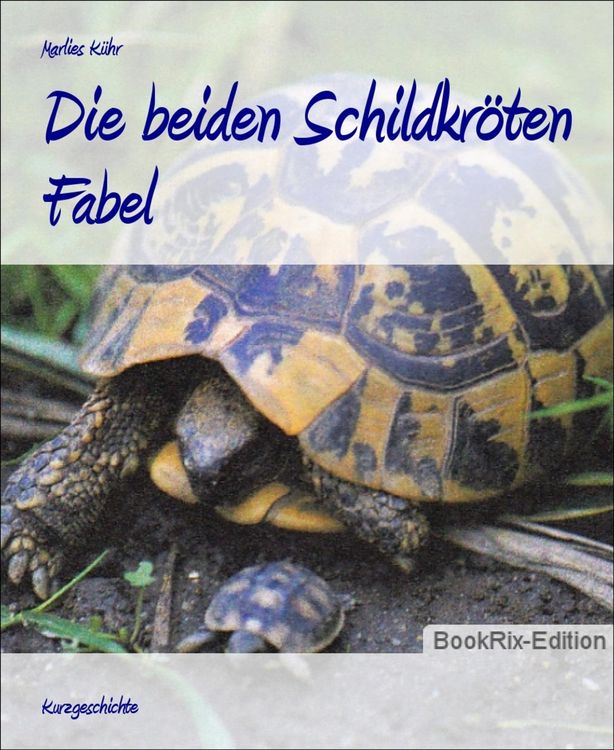 Produktbild: Die beiden Schildkr&ouml;ten