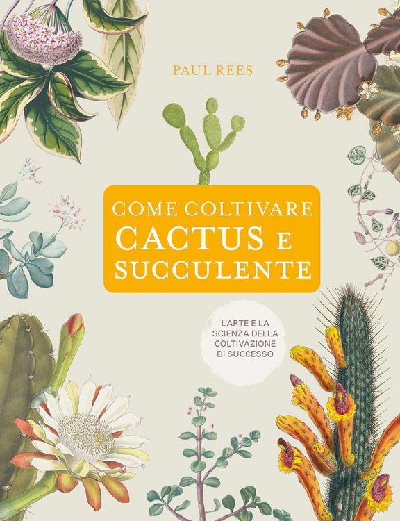 Produktbild: Come coltivare cactus e succulente