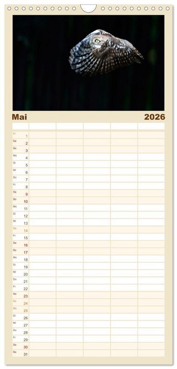 Produktbild: Familienplaner 2026 - Faszination Steinkauz mit 5 Spalten (Wandkalender, 21 x 45 cm) CALVENDO