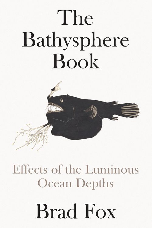 Produktbild: The Bathysphere Book