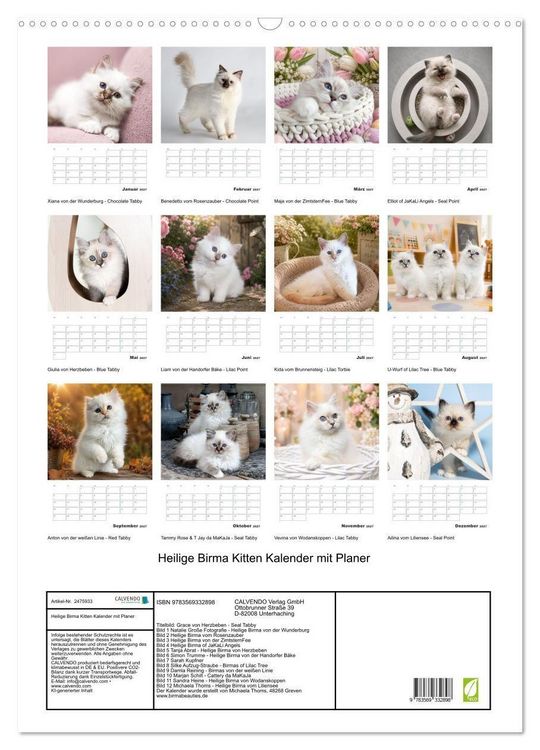 Produktbild: Heilige Birma Kitten Kalender mit Planer (Wandkalender 2027 DIN A2 hoch), CALVENDO Monatskalender
