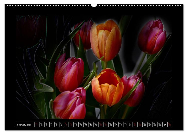 Produktbild: Mysterious plant portraits (Wall Calendar 2026 DIN A2 landscape), CALVENDO 12 Month Wall Calendar