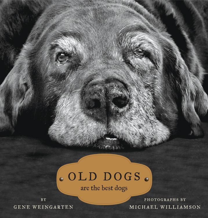 Produktbild: Old Dogs