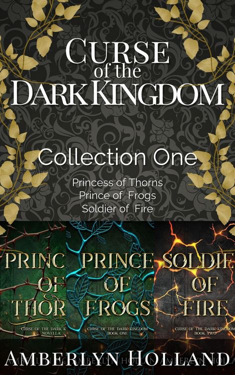Produktbild: Curse of the Dark Kingdom: Collection One (Curse of the Dark Kingdom Collections, #1)