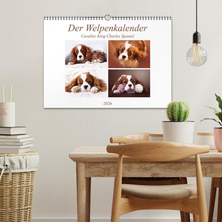 Produktbild: Der Welpenkalender - Cavalier King Charles Spaniel (Wandkalender 2026 DIN A3 quer), CALVENDO Monatskalender