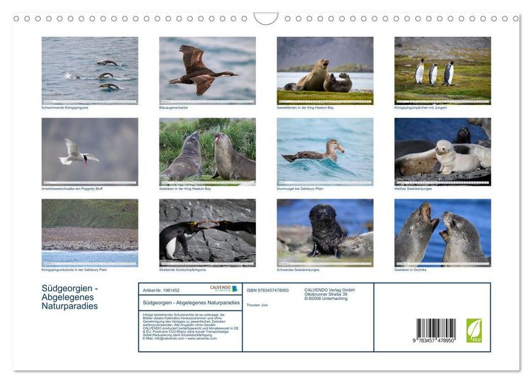 Produktbild: S&uuml;dgeorgien - Abgelegenes Naturparadies (Wandkalender 2026 DIN A3 quer), CALVENDO Monatskalender