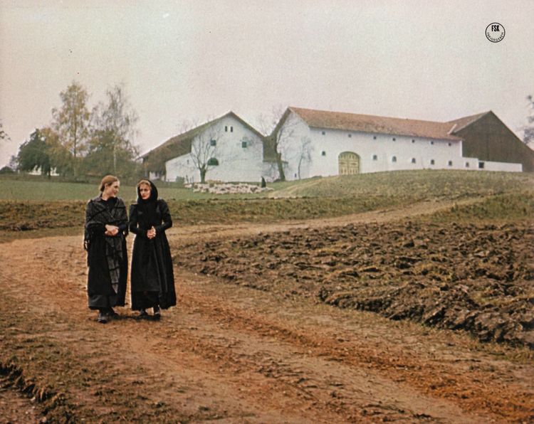 Produktbild: Der Sternsteinhof (Filmjuwelen)