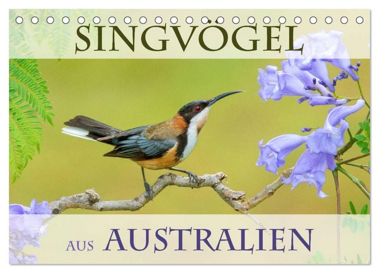 Produktbild: Singv&ouml;gel aus Australien (Tischkalender 2026 DIN A5 quer), CALVENDO Monatskalender