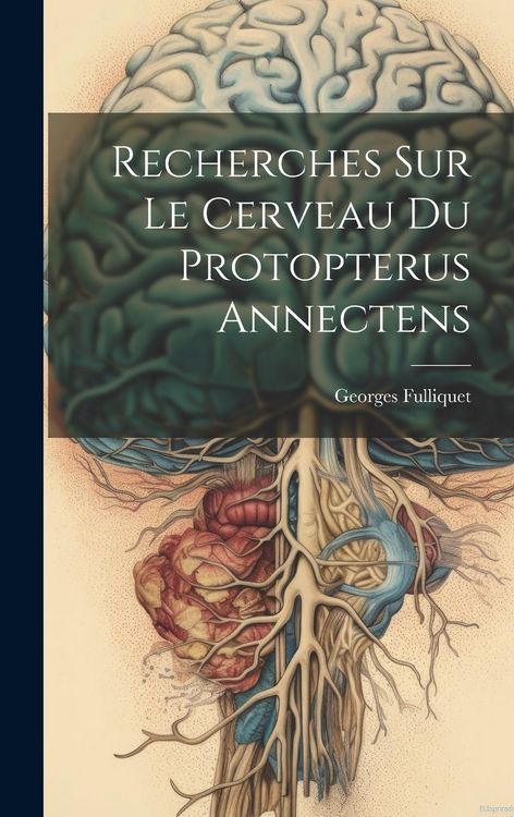 Produktbild: Recherches Sur Le Cerveau Du Protopterus Annectens