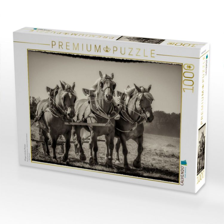 Produktbild: CALVENDO Puzzle Pfl&uuml;gen mit drei Pferden | 1000 Teile Lege-Gr&ouml;&szlig;e 64x48cm Foto-Puzzle f&uuml;r gl&uuml;ckliche Stunden