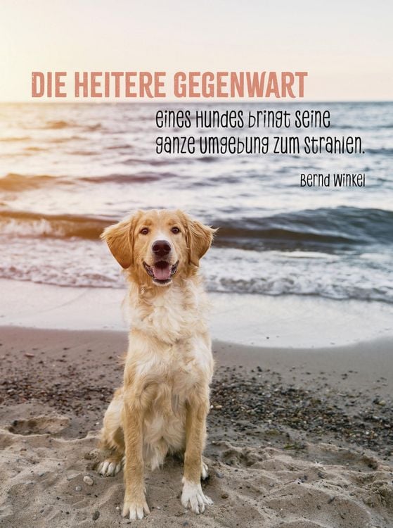 Produktbild: Hunde sind die besten Freunde