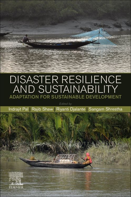 Produktbild: Pal, I: Disaster Resilience and Sustainability