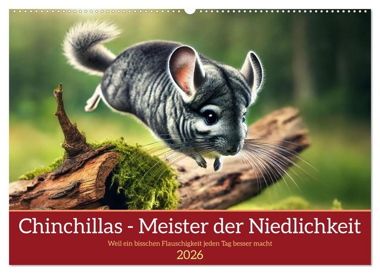 Produktbild: Chinchillas - Meister der Niedlichkeit (Wandkalender 2026 DIN A2 quer), CALVENDO Monatskalender