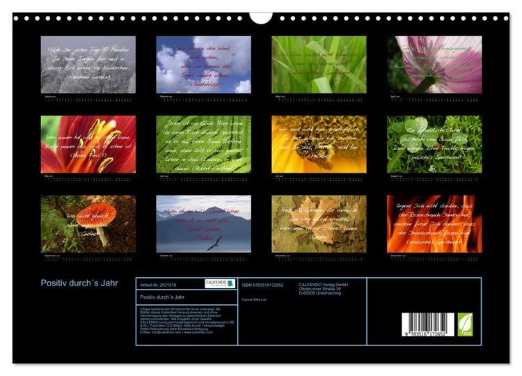 Produktbild: Positiv durch&acute;s Jahr (Wandkalender 2026 DIN A3 quer), CALVENDO Monatskalender