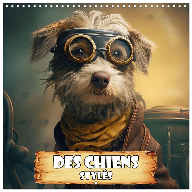 Produktbild: Des chiens styl&eacute;s (Calendrier mural carr&eacute; 2026 30x30 cm) Calendrier double avec une page pour vos prises de notes