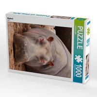 Produktbild: CALVENDO Puzzle Nilpferd | 1000 Teile Lege-Gr&ouml;&szlig;e 64x48cm Foto-Puzzle f&uuml;r gl&uuml;ckliche Stunden
