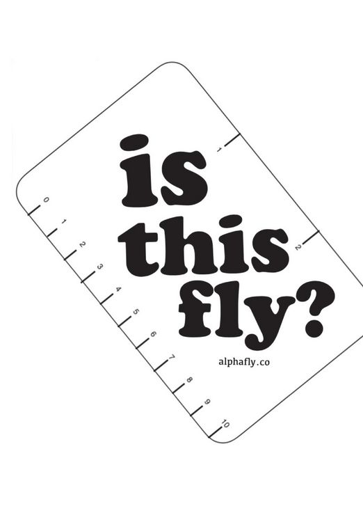 Produktbild: the official alphafly guidebook