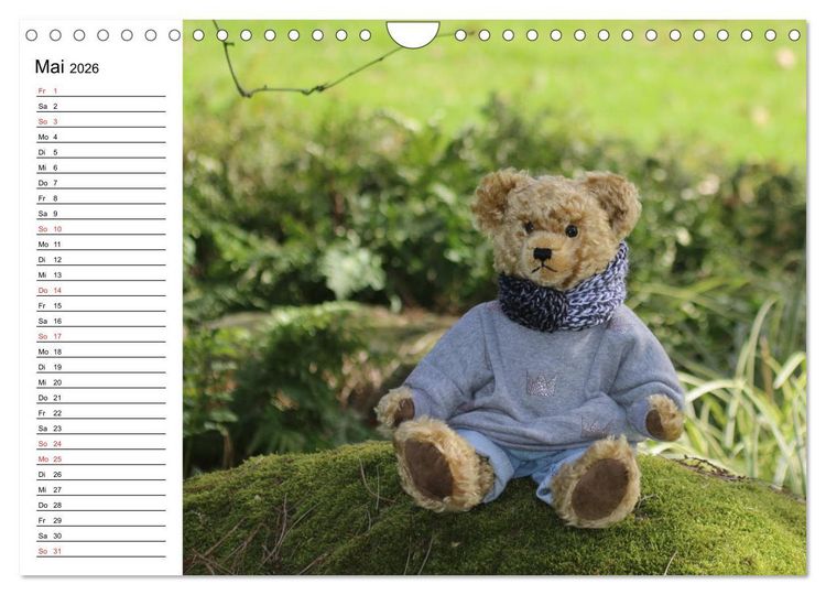 Produktbild: Teddy unterwegs (Wandkalender 2026 DIN A4 quer), CALVENDO Monatskalender