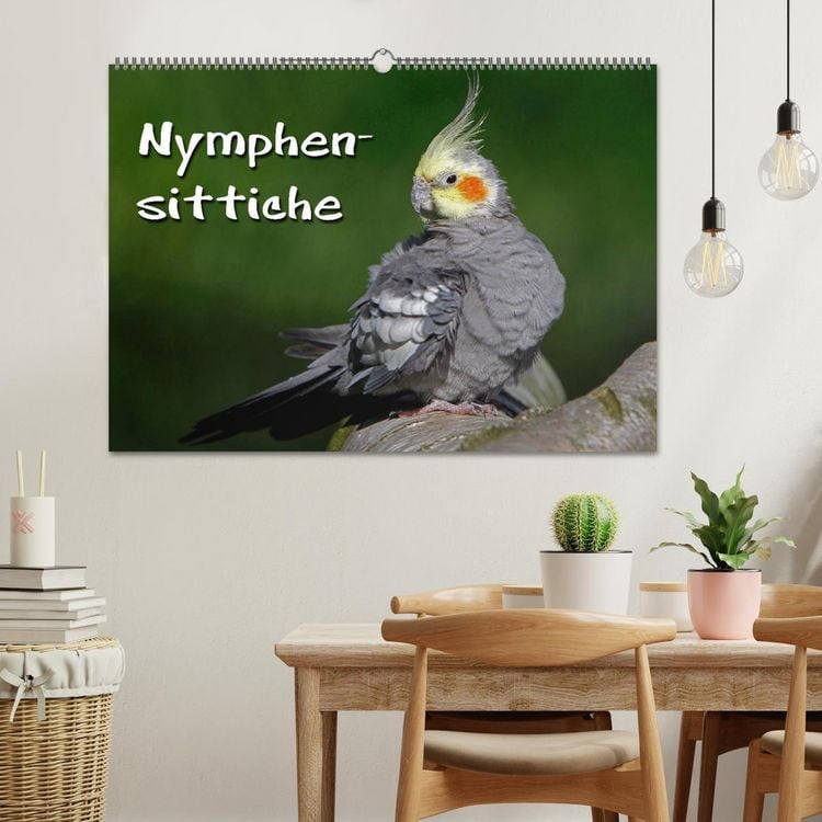 Produktbild: Nymphensittiche (Wandkalender 2026 DIN A2 quer), CALVENDO Monatskalender