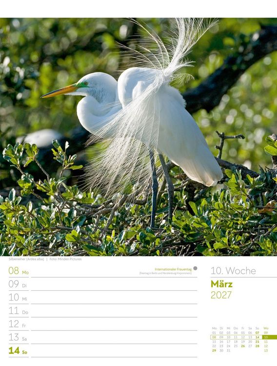 Produktbild: V&ouml;gel Wochenplaner Kalender 2027
