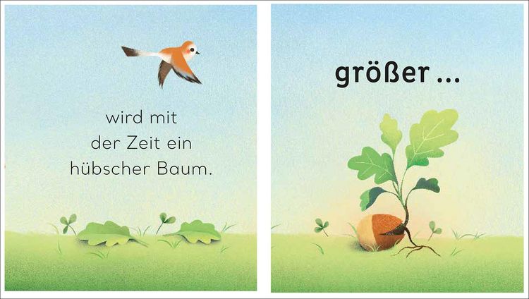 Produktbild: Eine kleine Welt im Baum