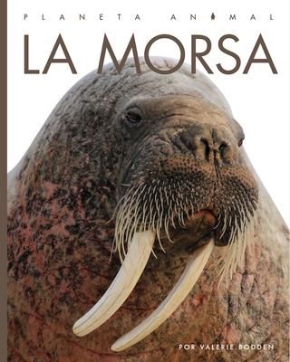 Produktbild: La Morsa