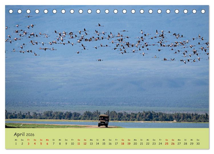 Produktbild: Gefiederte Sch&ouml;nheiten Ostafrikas (Tischkalender 2026 DIN A5 quer), CALVENDO Monatskalender