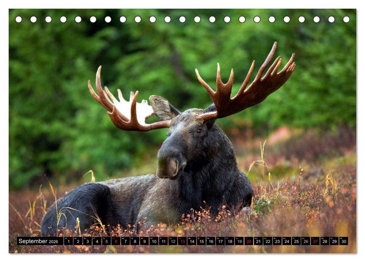 Produktbild: Kanada - Das Paradies f&uuml;r Entdecker (Tischkalender 2026 DIN A5 quer), CALVENDO Monatskalender