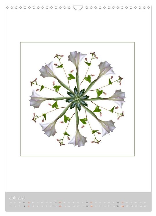 Produktbild: Pflanzen - Mandalas aus Bl&uuml;ten und Bl&auml;ttern (Wandkalender 2026 DIN A3 hoch), CALVENDO Monatskalender