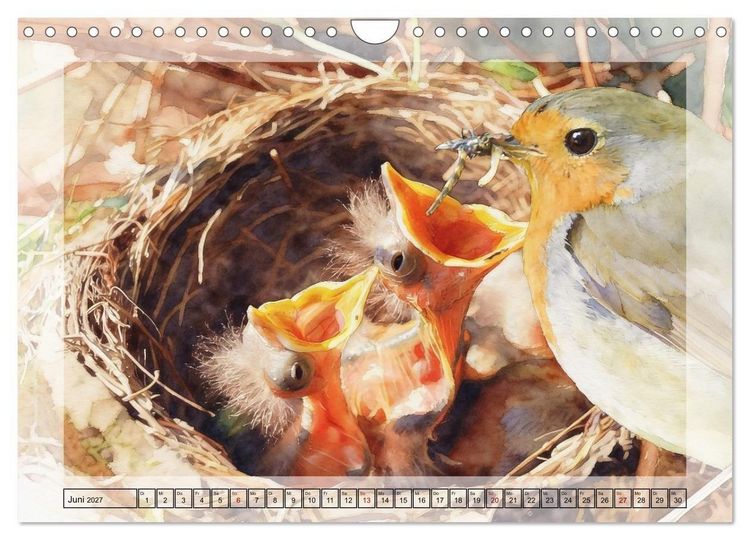 Produktbild: Zauberhaftes Nestgefl&uuml;ster (Wandkalender 2027 DIN A4 quer), CALVENDO Monatskalender