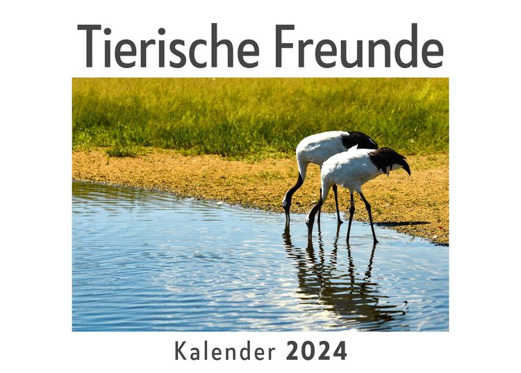 Produktbild: Tierische Freunde (Wandkalender 2024, Kalender DIN A4 quer, Monatskalender im Querformat mit Kalendarium, Das perfekte Geschenk)