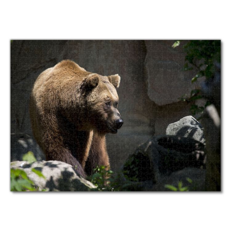 Produktbild: Lais Puzzle Braunb&auml;r 1000 Teile
