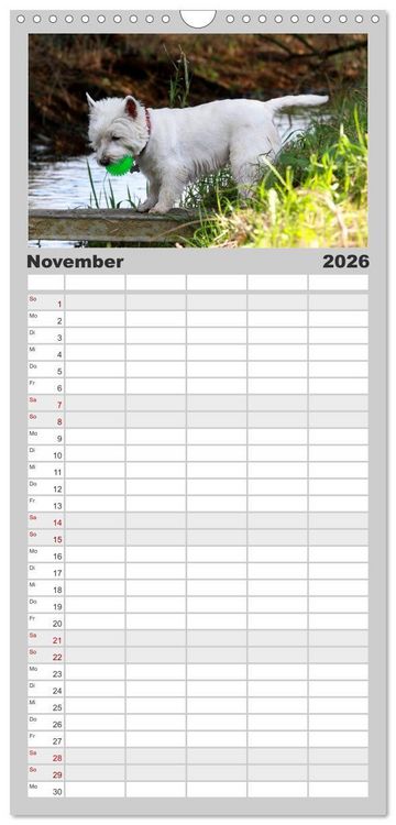 Produktbild: Familienplaner 2026 - West Highland White Terrier - Selbstbewustes Powerpaket - der Westie mit 5 Spalten (Wandkalender, 21 x 45 cm) CALVENDO