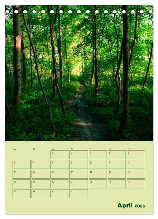 Produktbild: Wald- und Wiesenkalender 2026 Planer (Tischkalender 2026 DIN A5 hoch), CALVENDO Monatskalender