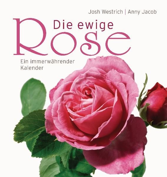 Produktbild: Die ewige Rose