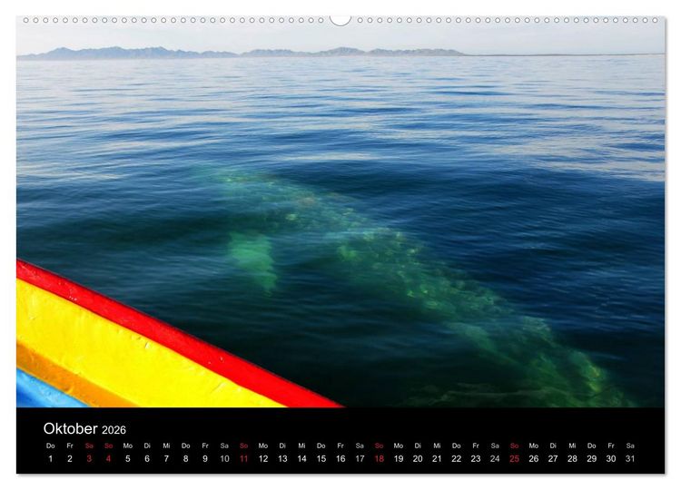 Produktbild: Baja California - Impressionen der mexikanischen Halbinsel (Wandkalender 2026 DIN A2 quer), CALVENDO Monatskalender