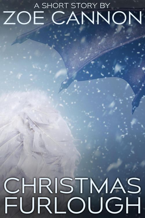 Produktbild: Christmas Furlough