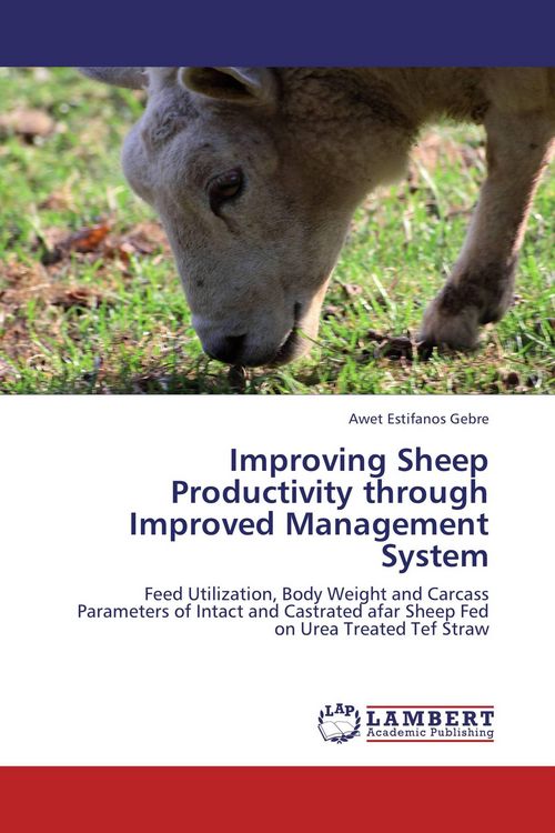 Produktbild: Improving Sheep Productivity through Improved Management System